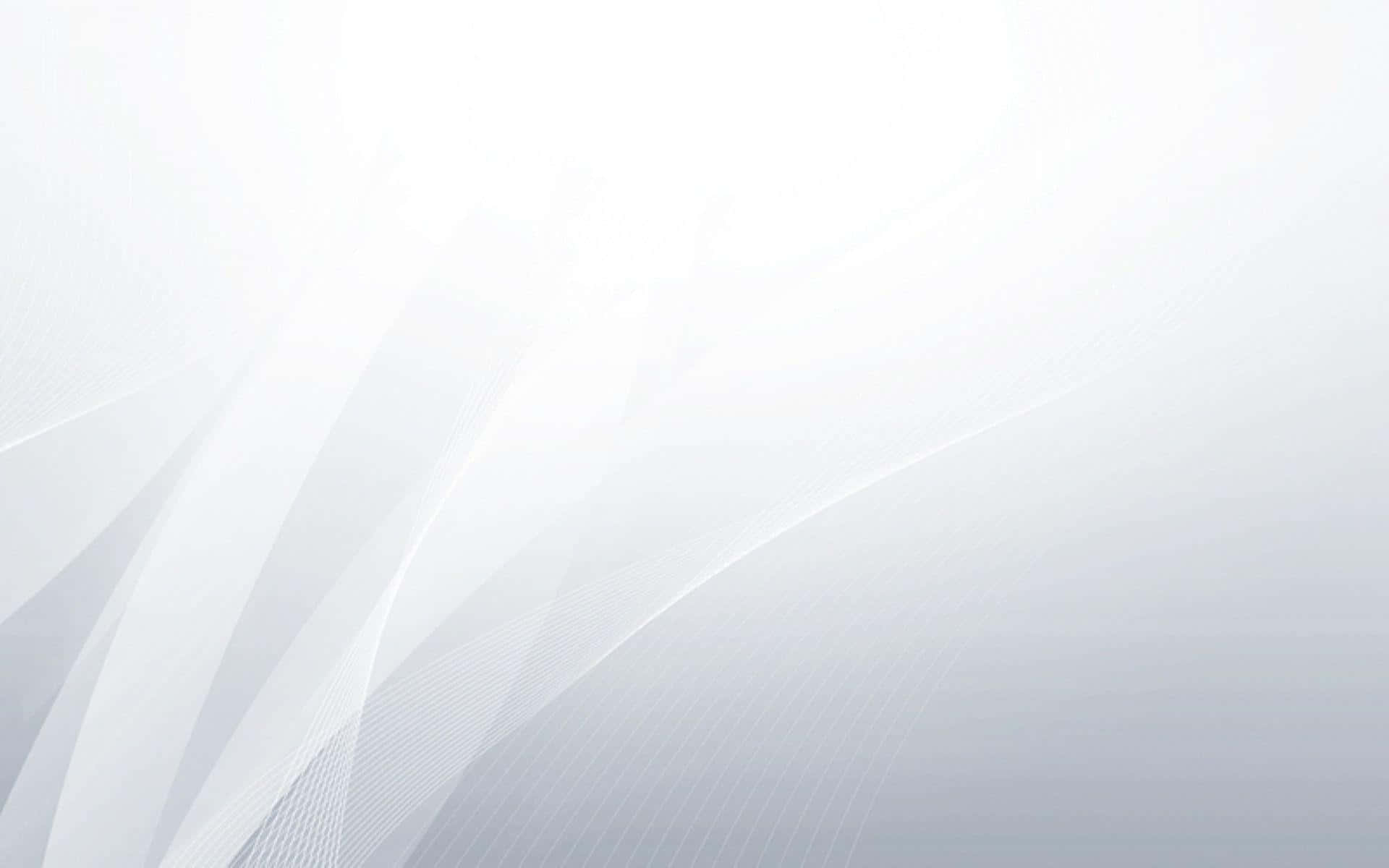White Color Background Wallpaper