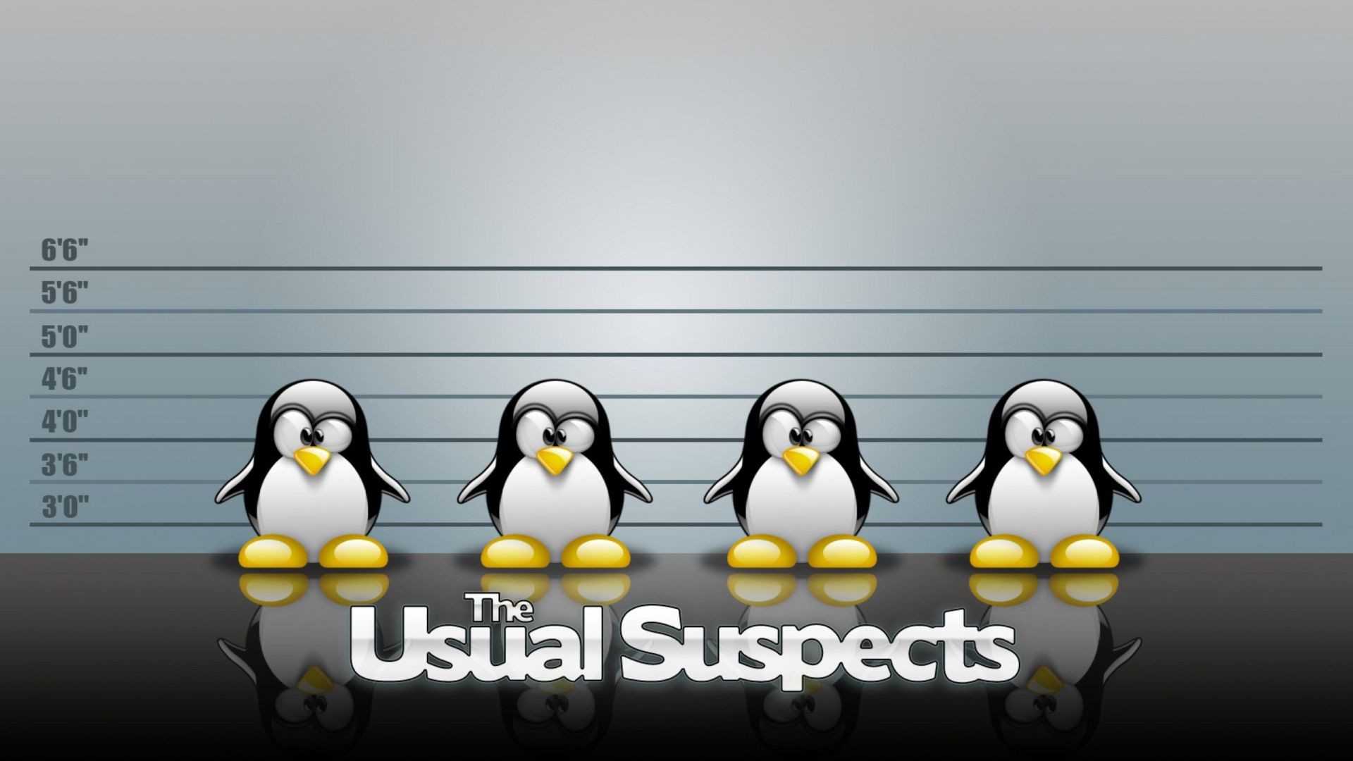 Linux Penguins HD Wallpaper
