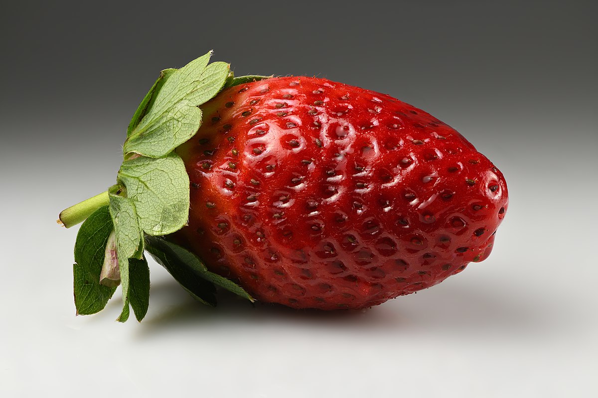 Strawberry Wikipedia