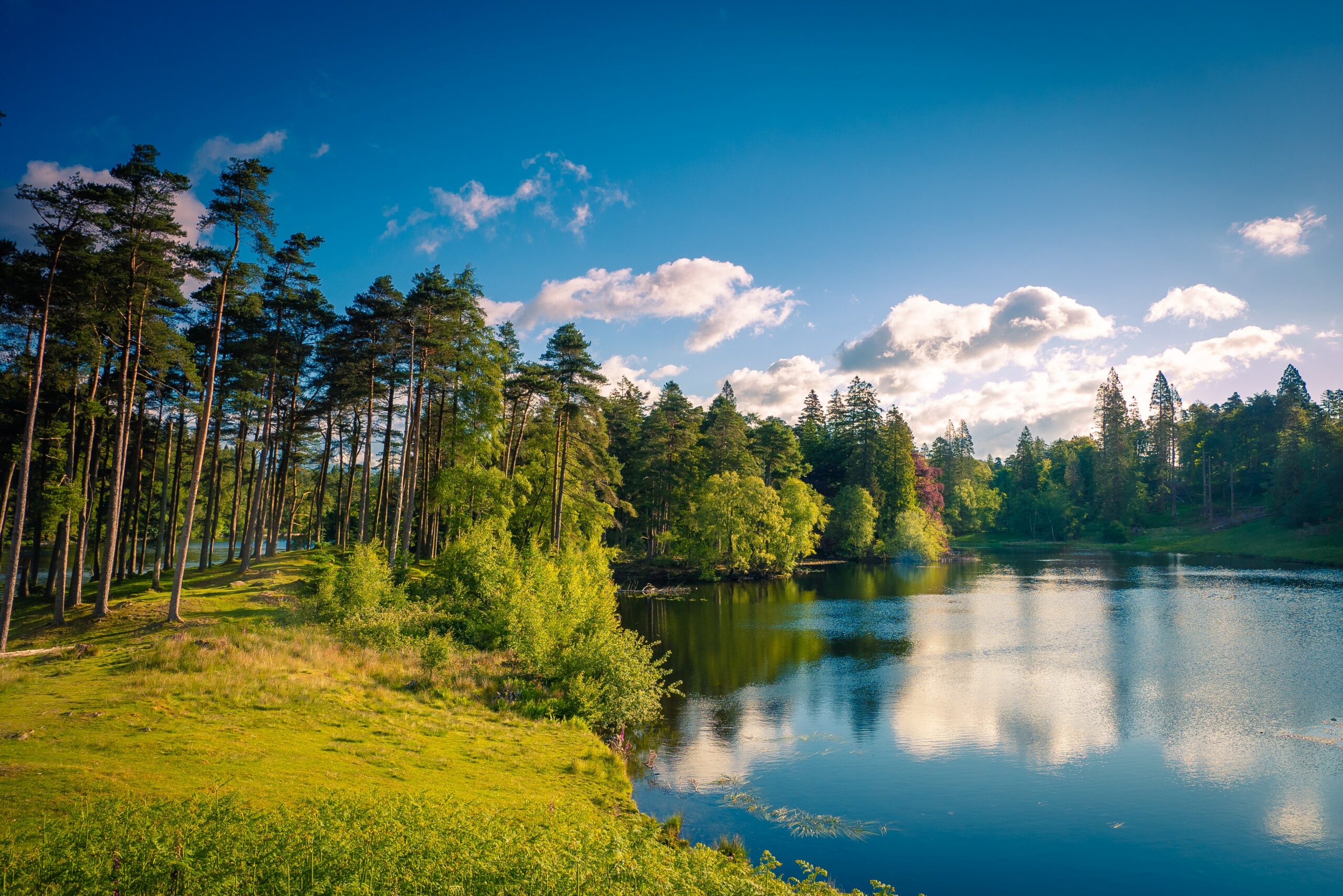 The Best Lakes For Swimming In Uk Wallpaper