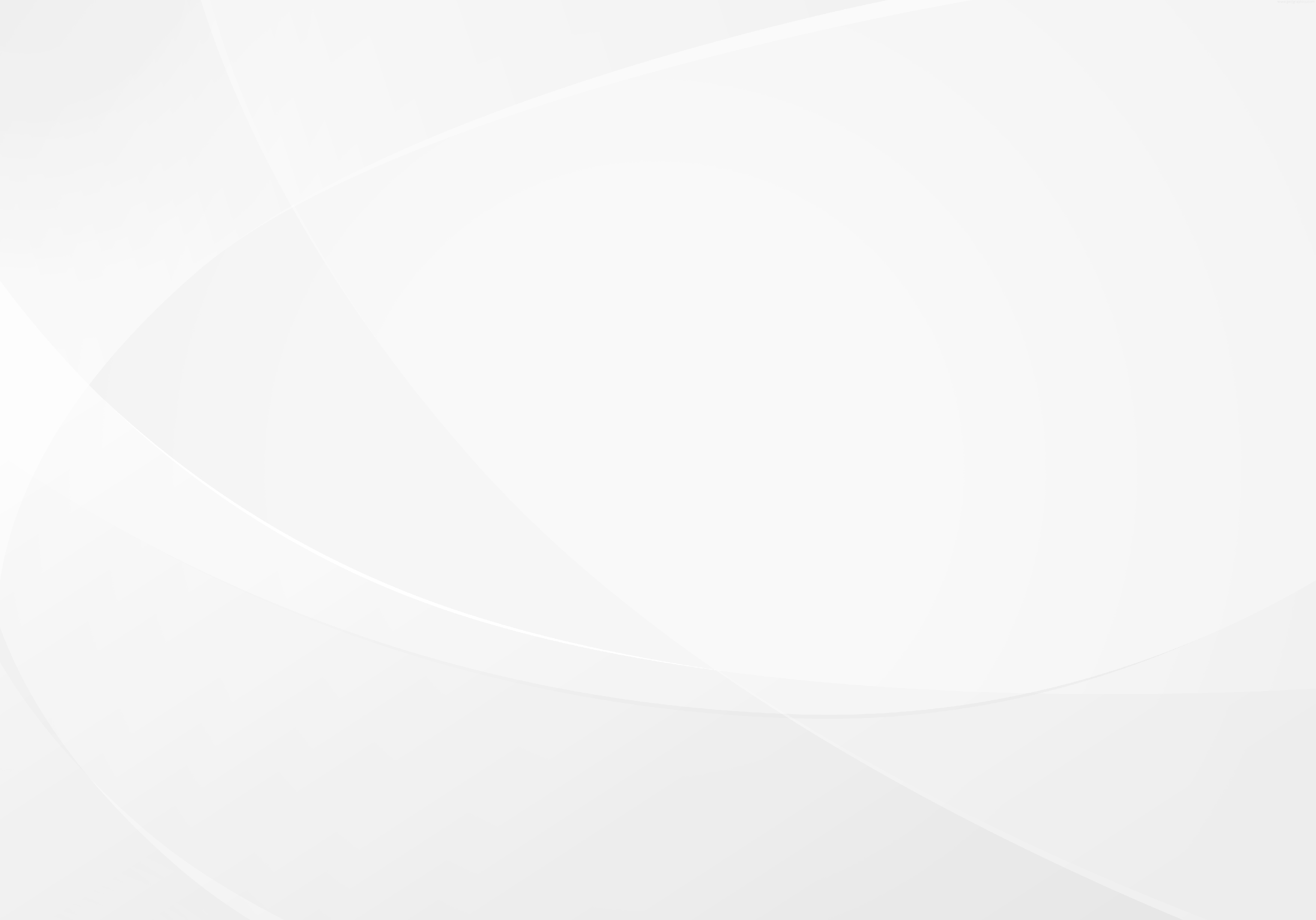 White Photo Background Wallpaper