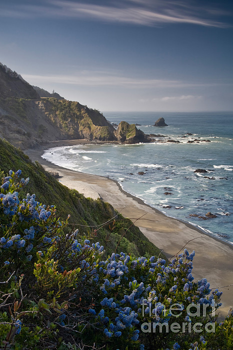 Northern California Coast Pc Android iPhone And iPad Wallpaper