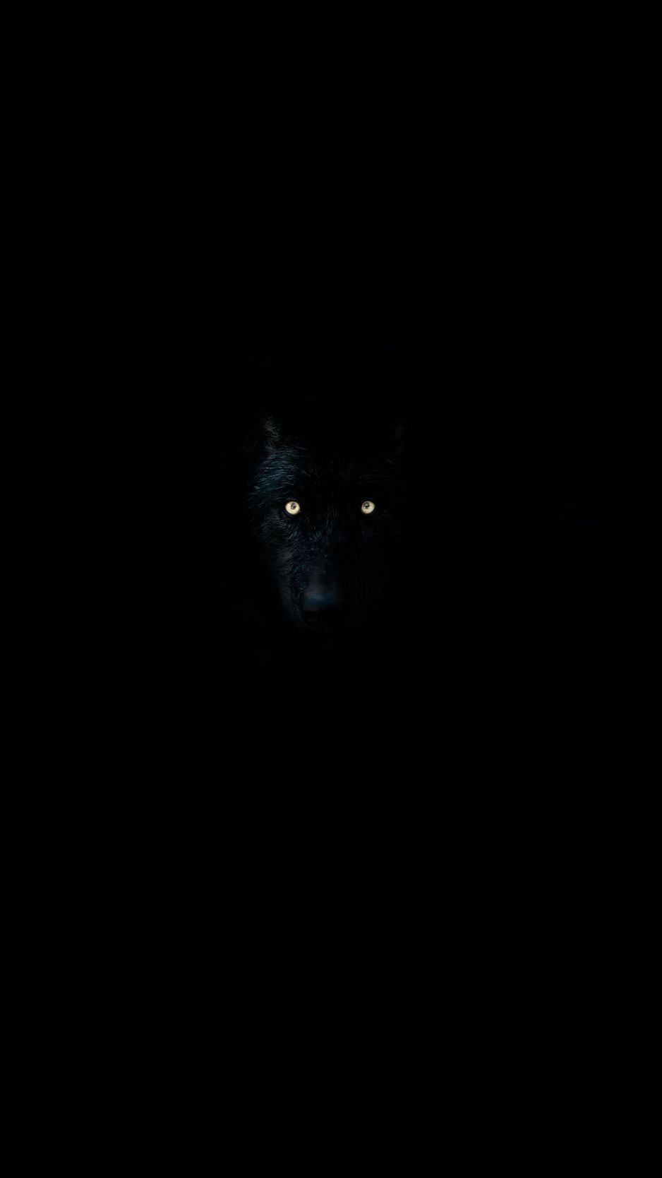 Download wallpaper 938x1668 wolf eyes darkness dark animal