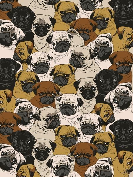For The Dedicated Pug Person Dog Wallpaper Pattern