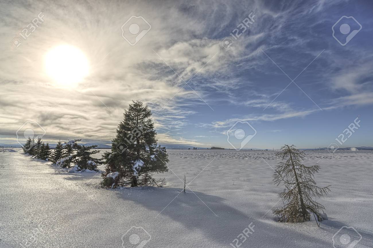 The Sun Shines In Background Of This Rural Winter Scene Near