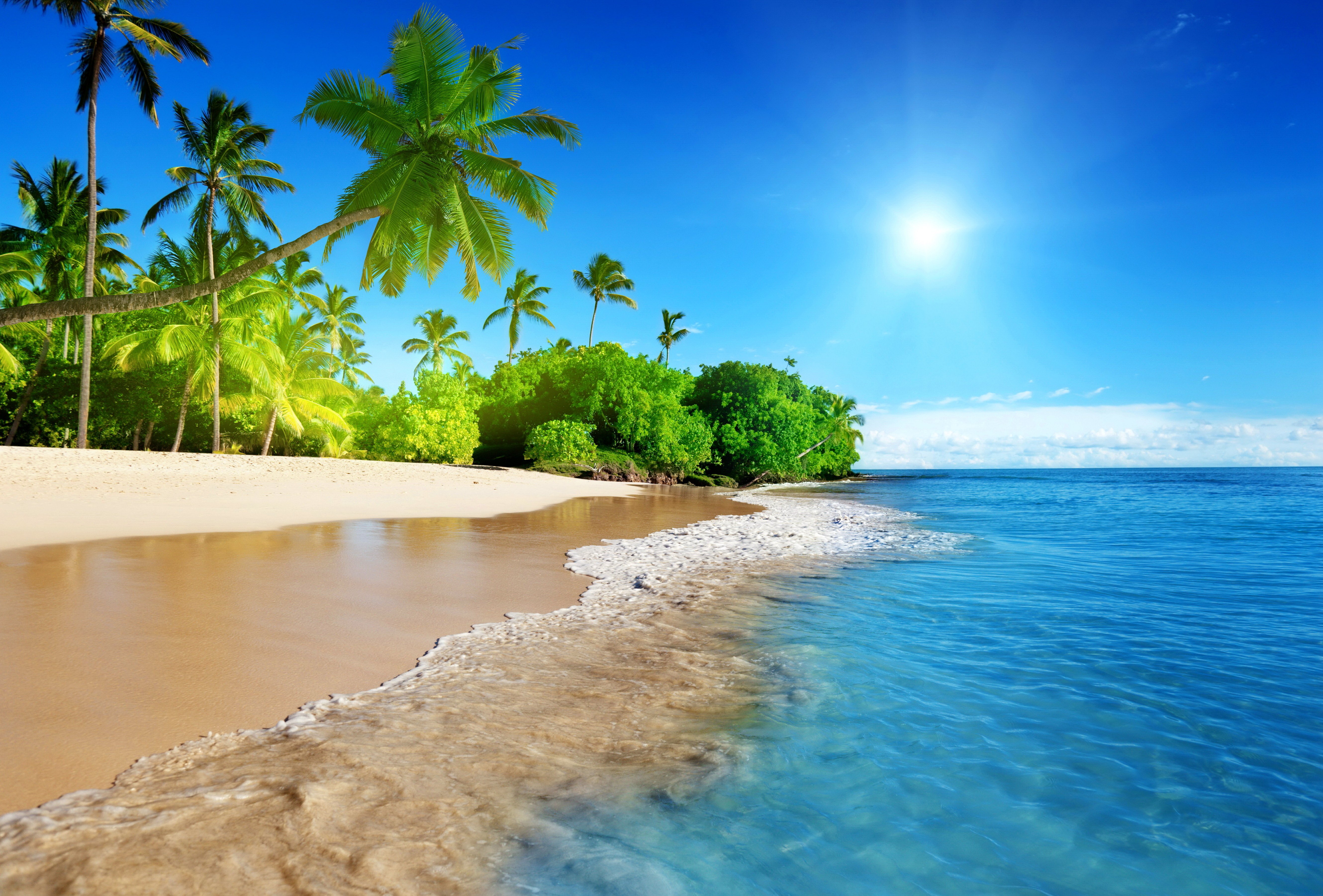Coast Tropical Paradise Blue Sea Sky Emerald Wallpaper Background