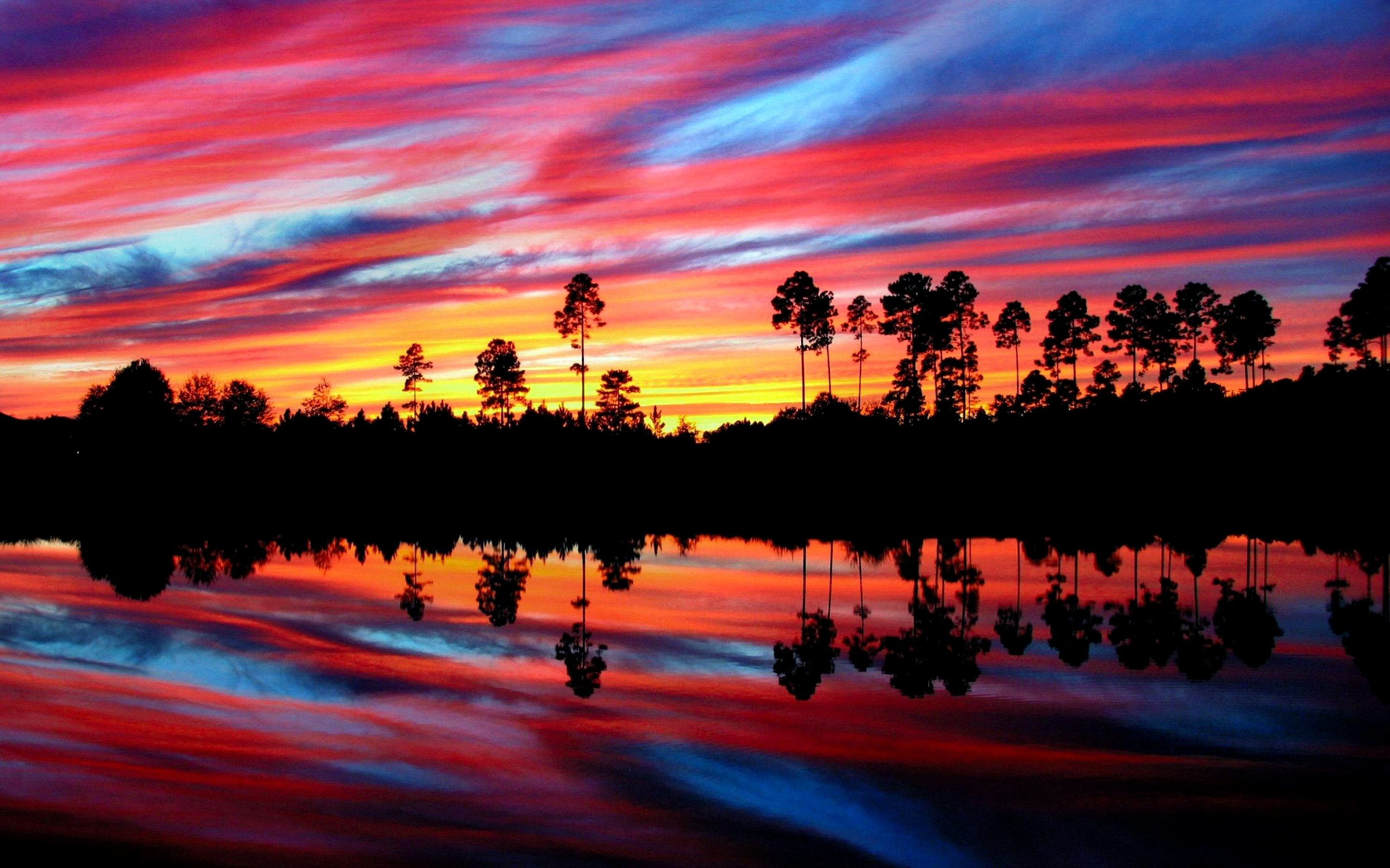 Sunset Colorful Florida 28december2012friday