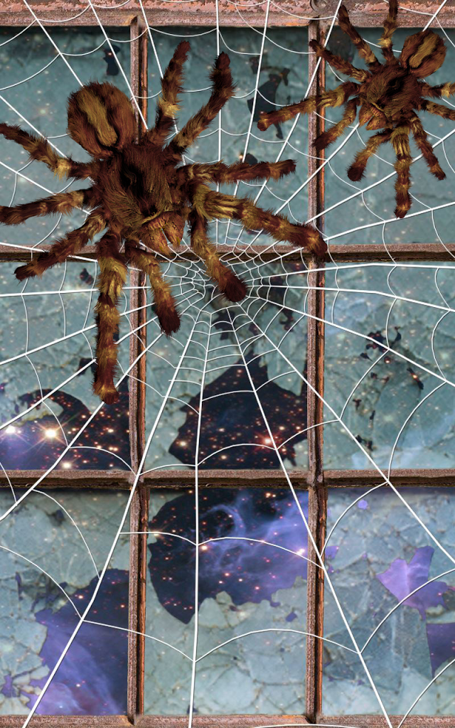 Spider Live Wa Screenshot Thumbnail