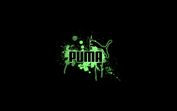 Puma Wallpapers   Wallpapers