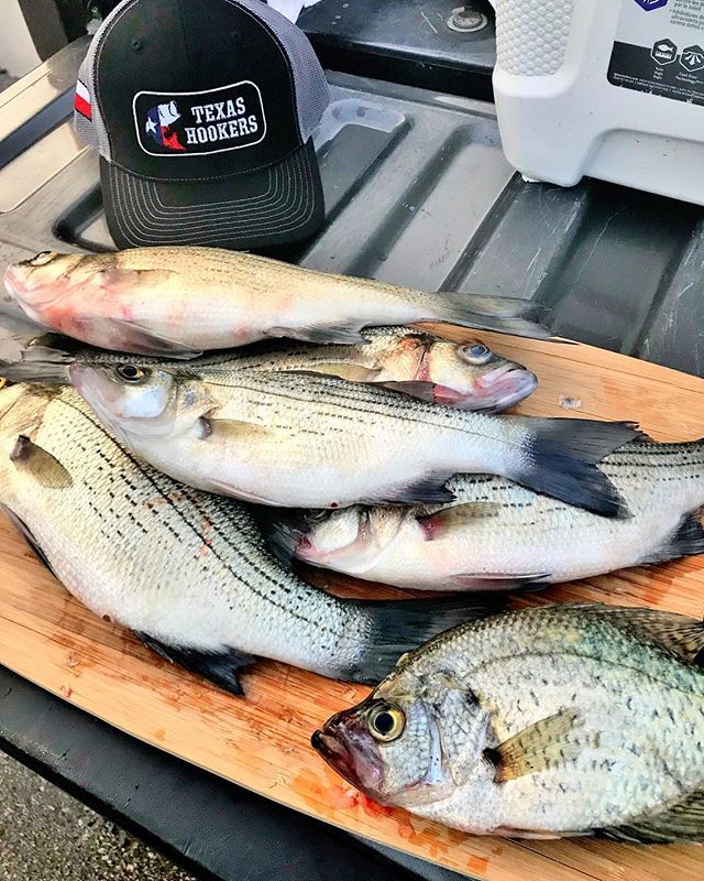 Crappie And White Bass Smack Down Lucky Texashookersatx Cap In