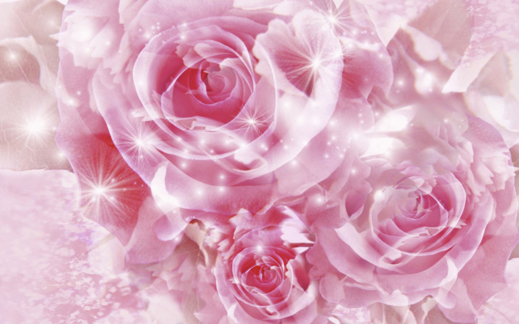 Wallpaper Background Sparkling Pink Roses