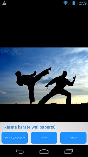 Download Karate HD Wallpapers for Android   Appszoom