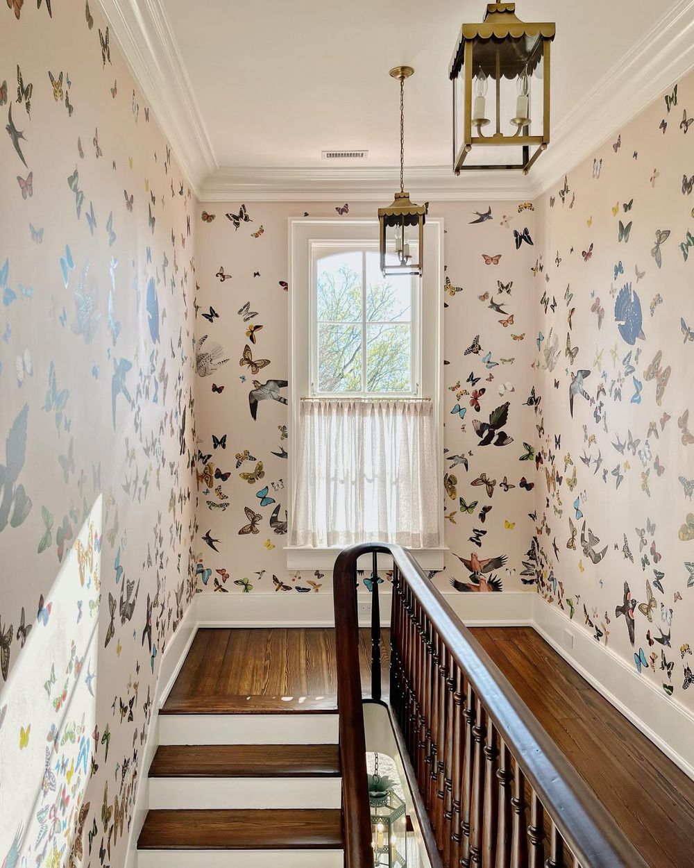 Wallpaper Ideas Maggiebdillon