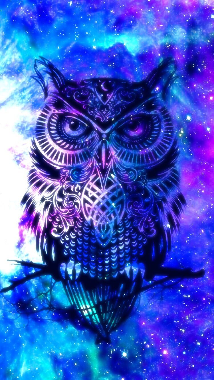 Owl Galaxy Cute Wallpaper Animal