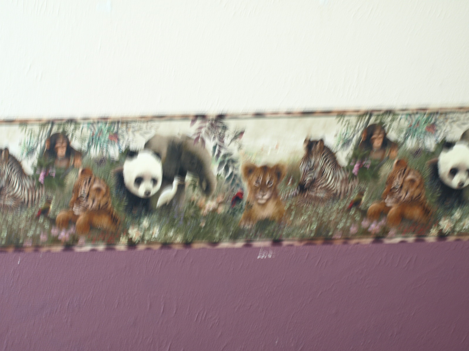 Free download Matching Borders [1707x916] for your Desktop, Mobile