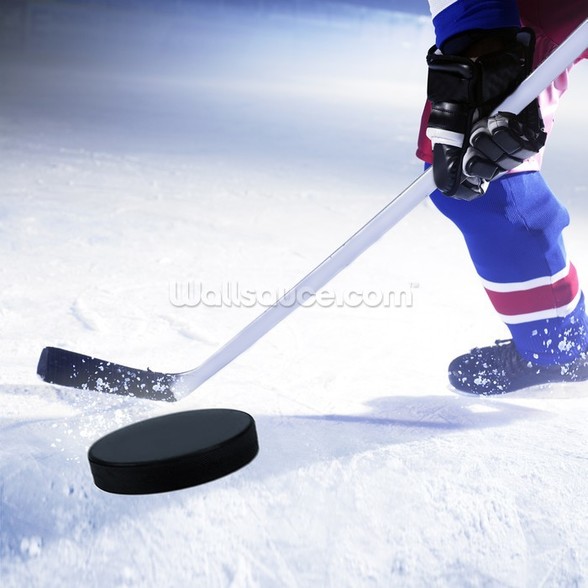 Hockey Stick And Puck Wall Mural Ice Wallpaper