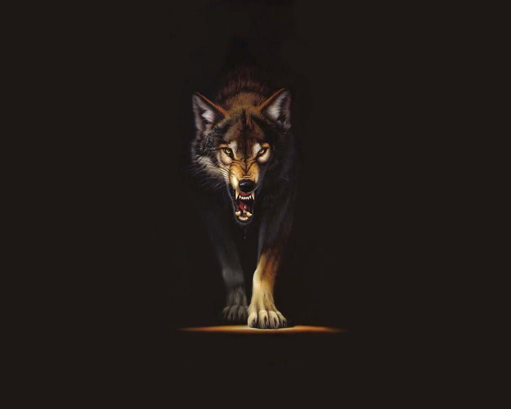 Black Wolf Face Live Wallpaper - MoeWalls
