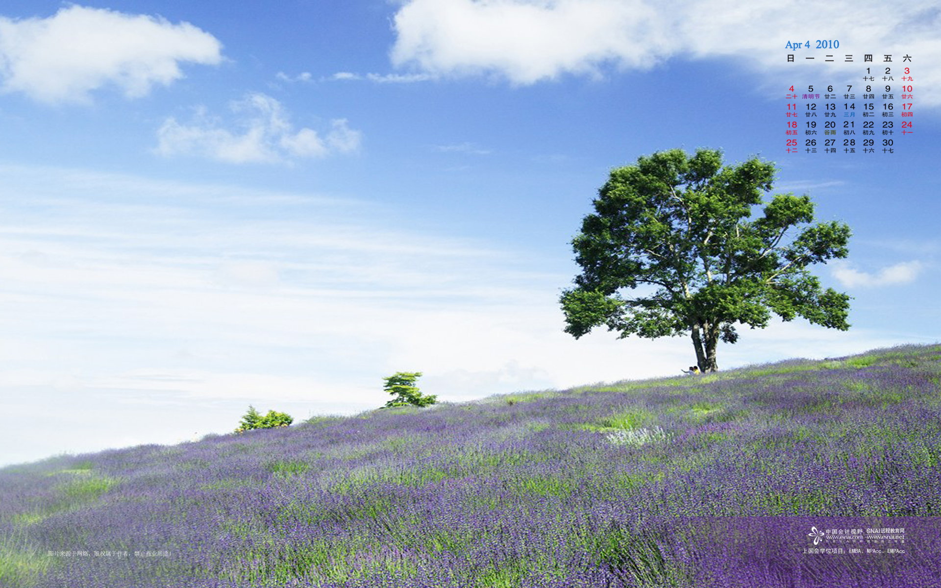 Relaxing Desktop Wallpaper