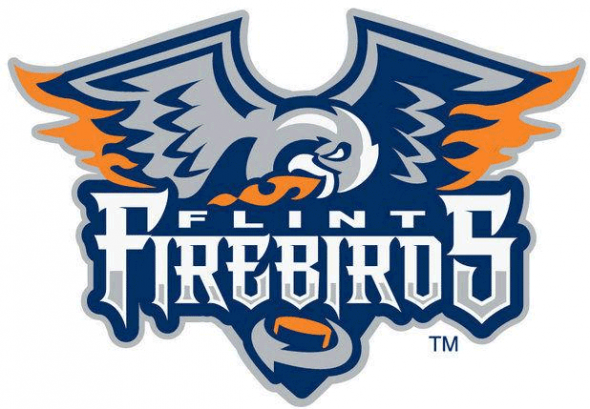 Flint Firebirds Logo