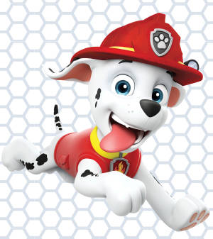 Paw Patrol Wallpaper Background For