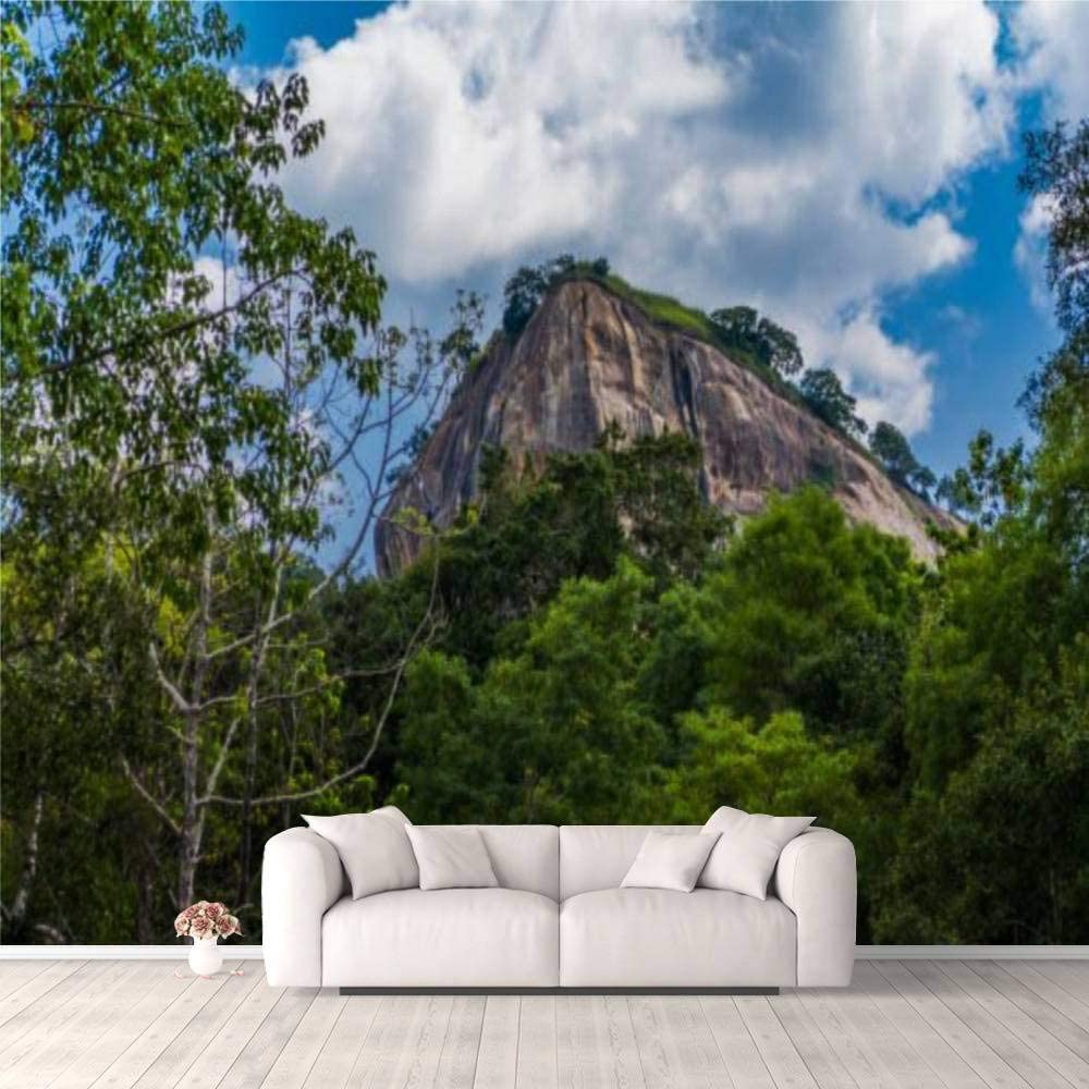Amazon 3d Wallpaper Lion Rock In Sigiriya Sri Lanka Of The