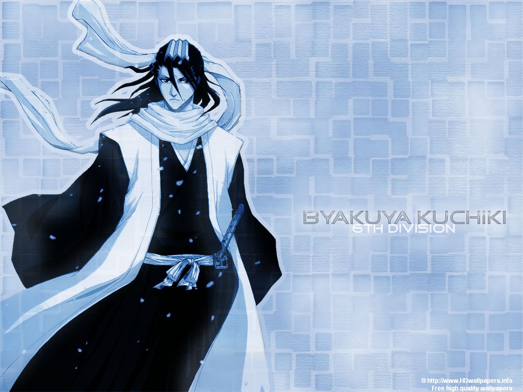 Anime Wallpaper Bleach Kuchiki Byakuya Cool