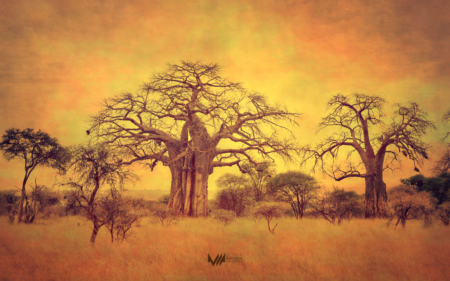 Пейзажи Африки живопись баобаб