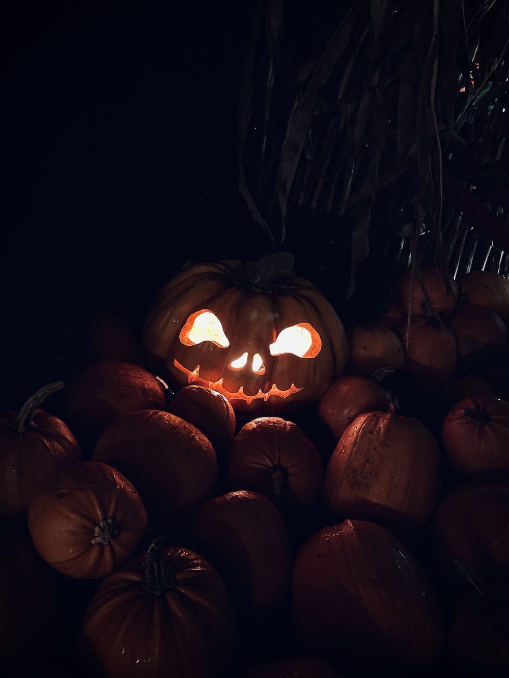 Halloween Aesthetic Wallpaper