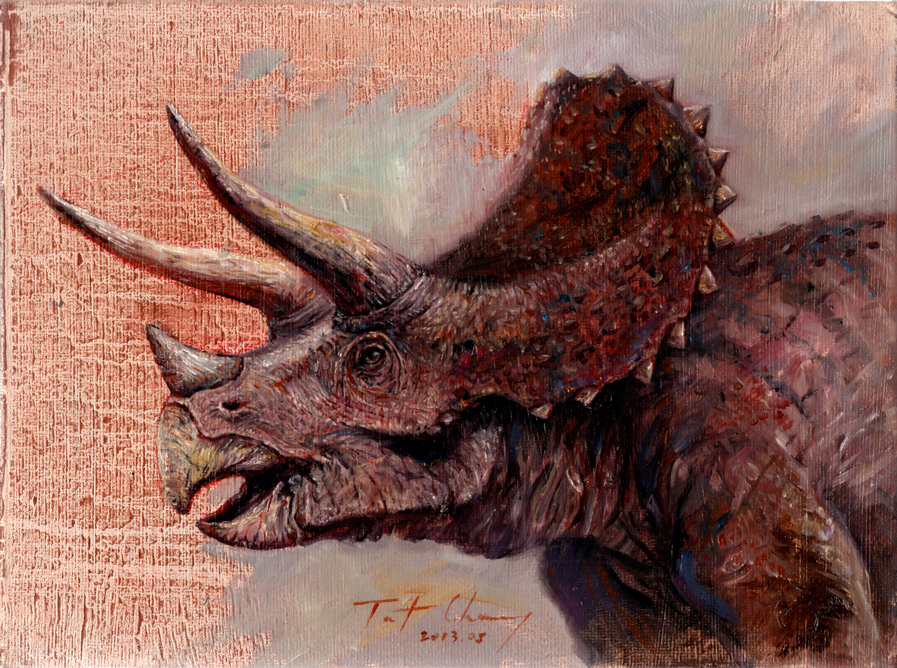 Triceratops HD Wallpaper And Background
