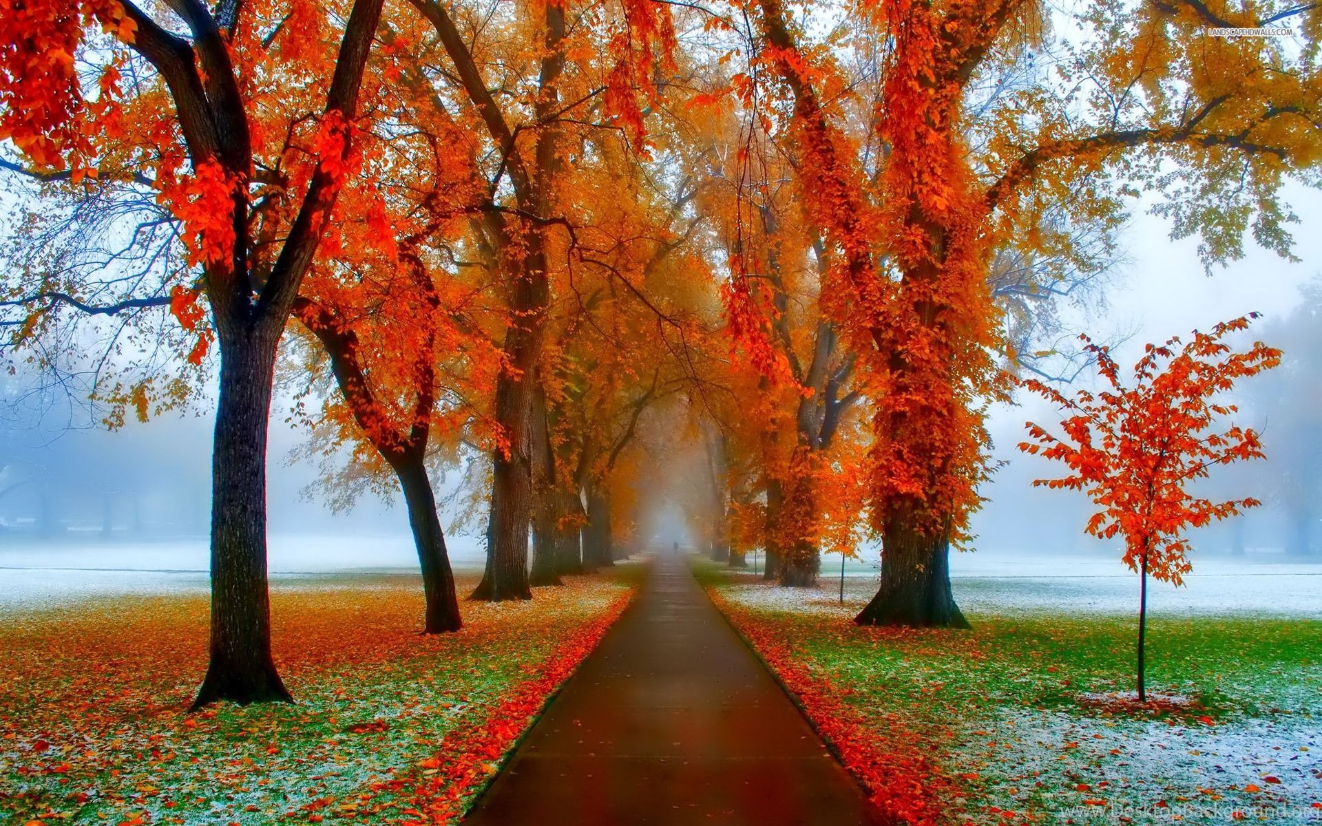 Autumn Wallpaper For Desktop