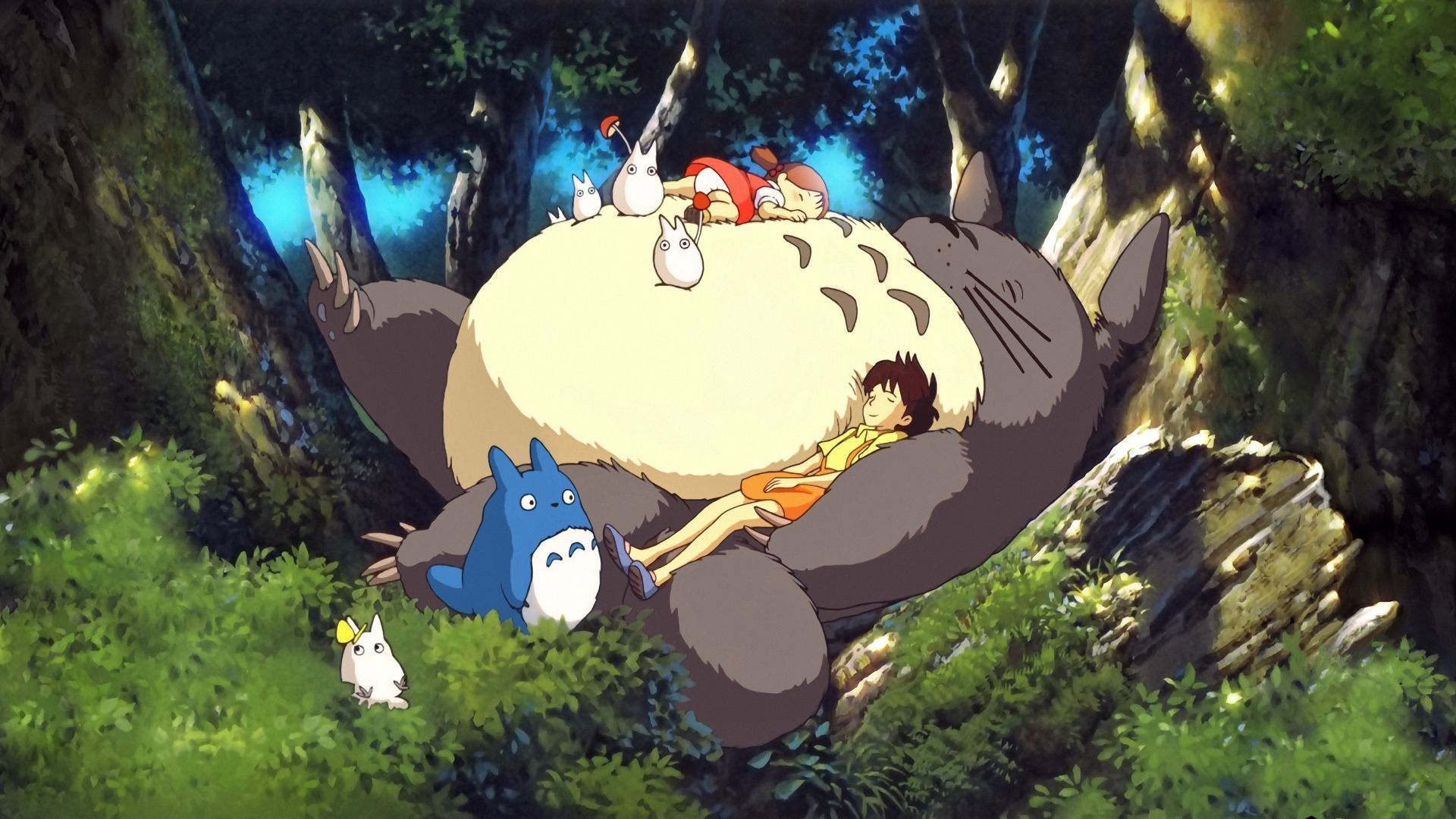 My Neighbor Totoro Anime HDw Eweb4