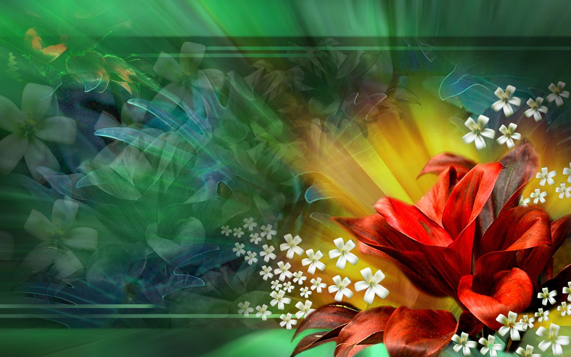 Flower Abstract HD Wallpaper
