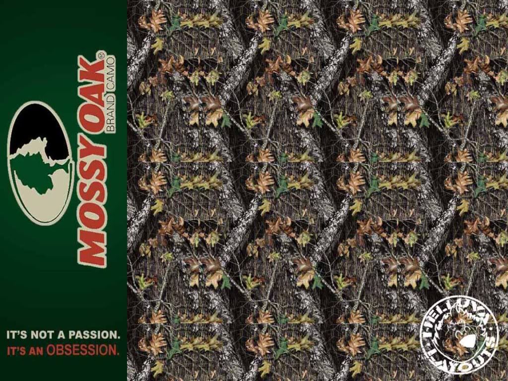 Free download Go Back Pix For Mossy Oak Camo Wallpaper 1920x1128 for your  Desktop Mobile  Tablet  Explore 47 Camouflage Wallpaper Mossy Oak   Mossy Oak Camo Wallpaper Pink Mossy Oak