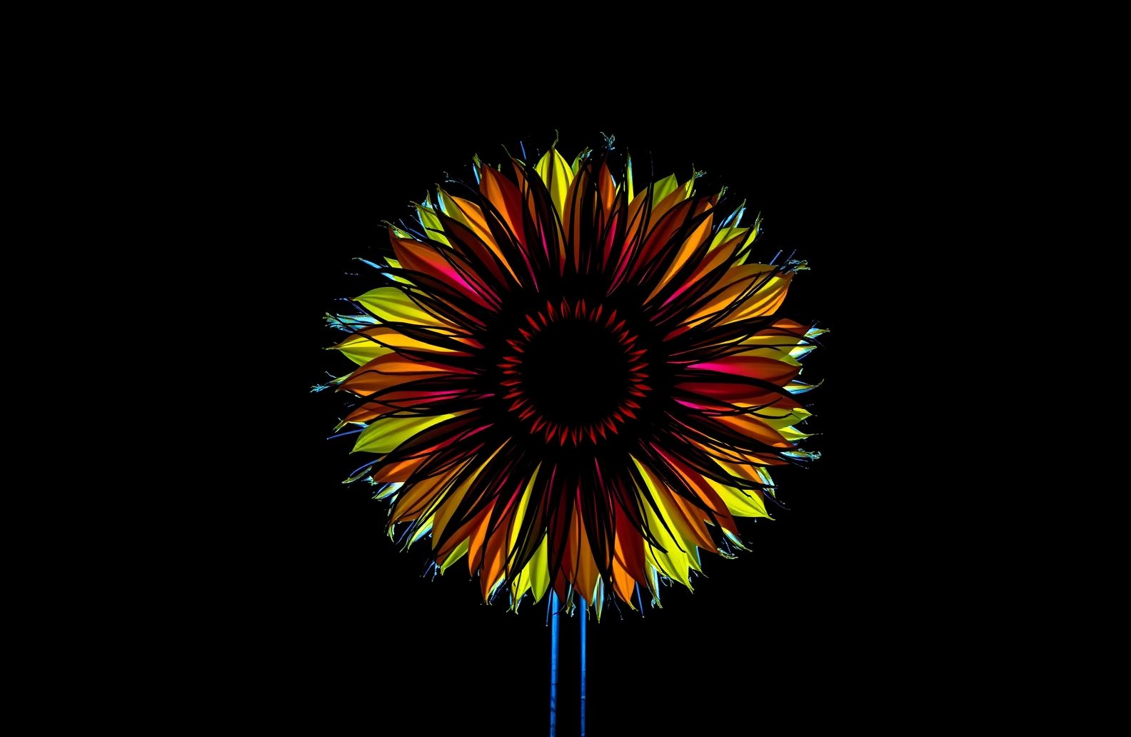 Black Background Pic