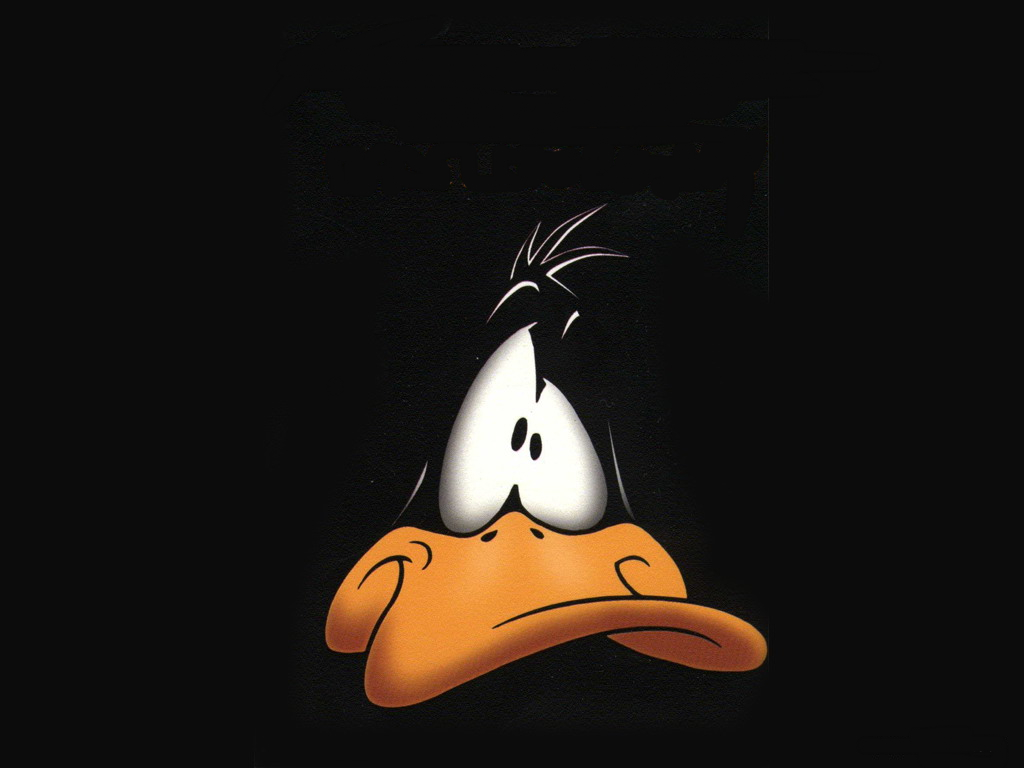 Daffy Duck Wallpaper And Background Image