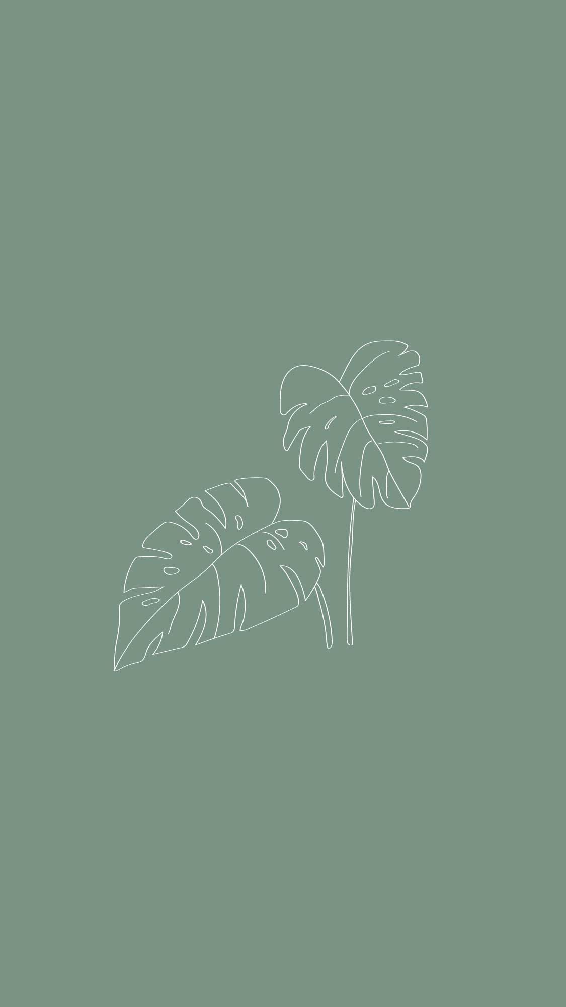 Sage Green Aesthetic Wallpaper Explore More Beautiful Color