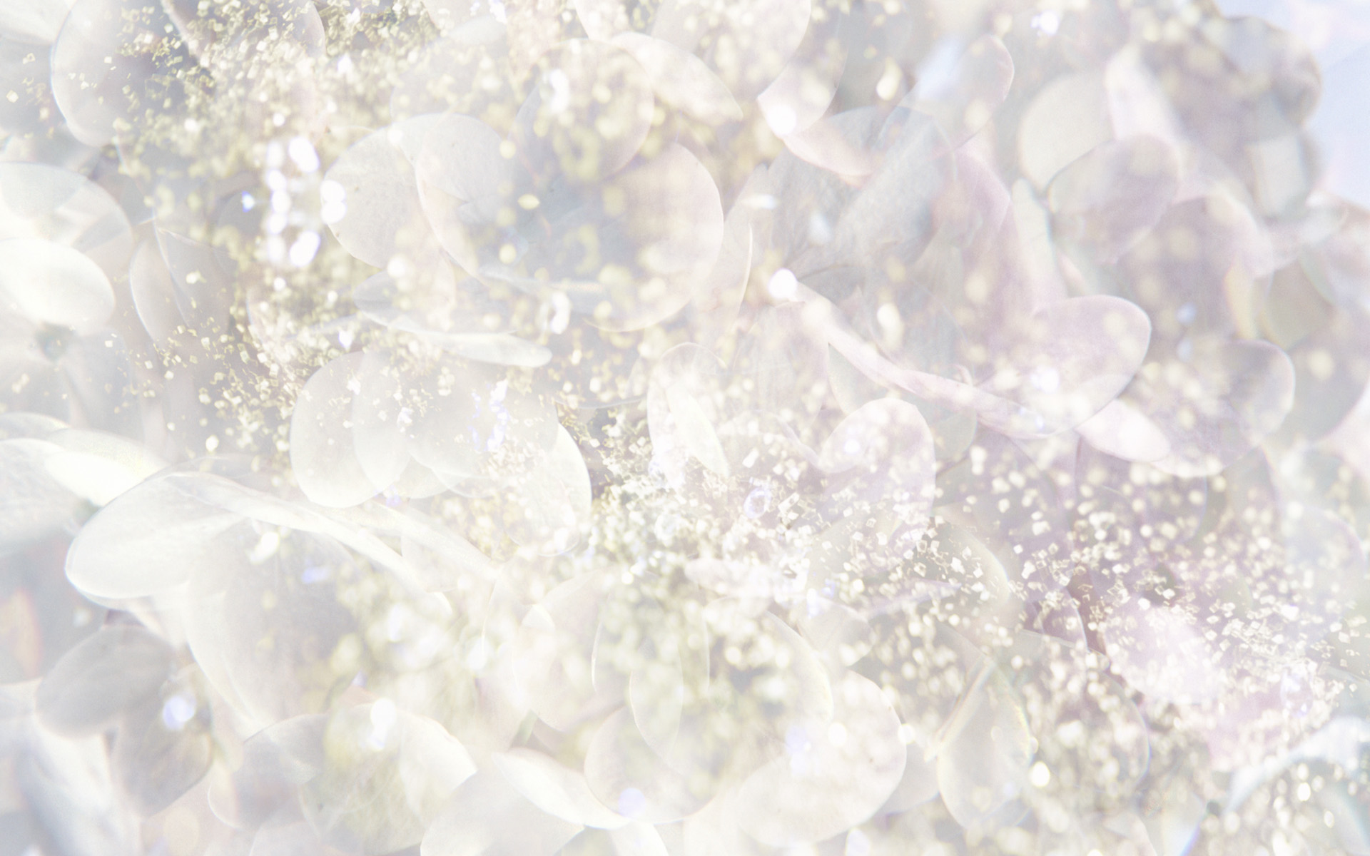 White Desktop Background Wallpaper