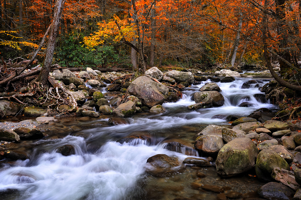 Fall Color Along A River In Smoky Mountain National Park The Rapids