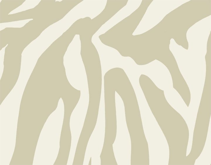 Zebra Wallpaper Pattern From The Book National Geographic