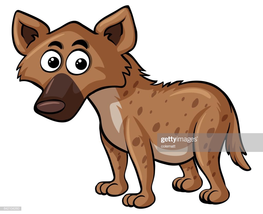 Hyena On White Background Stock Vector Getty Image