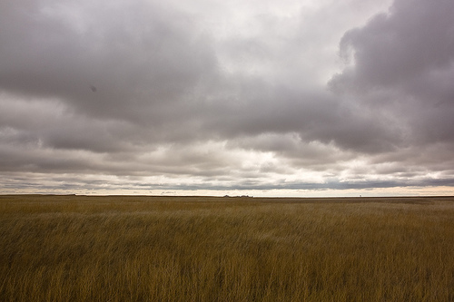 Prairie Wind Overlook 500x333