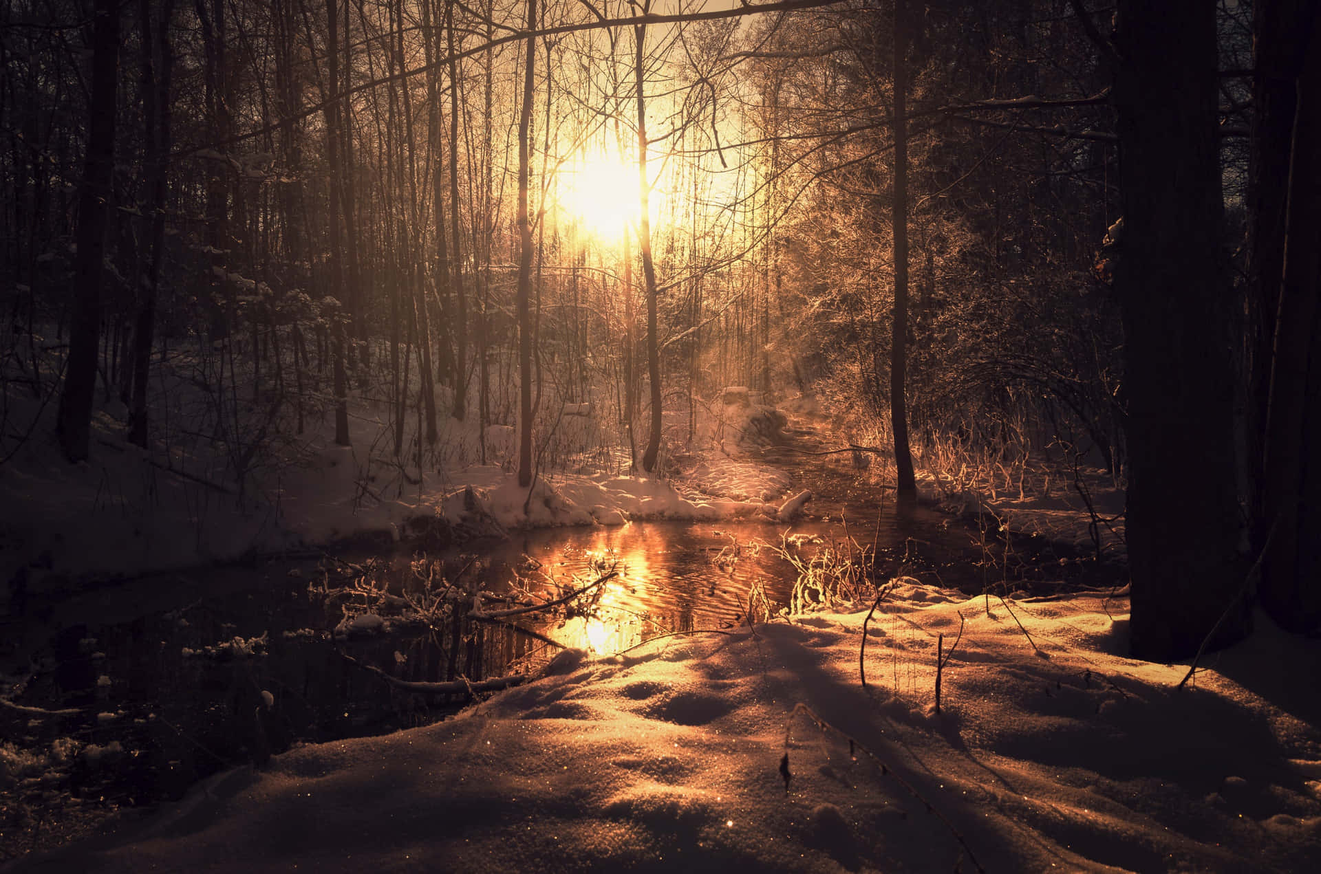 Dark Nature Wallpaper