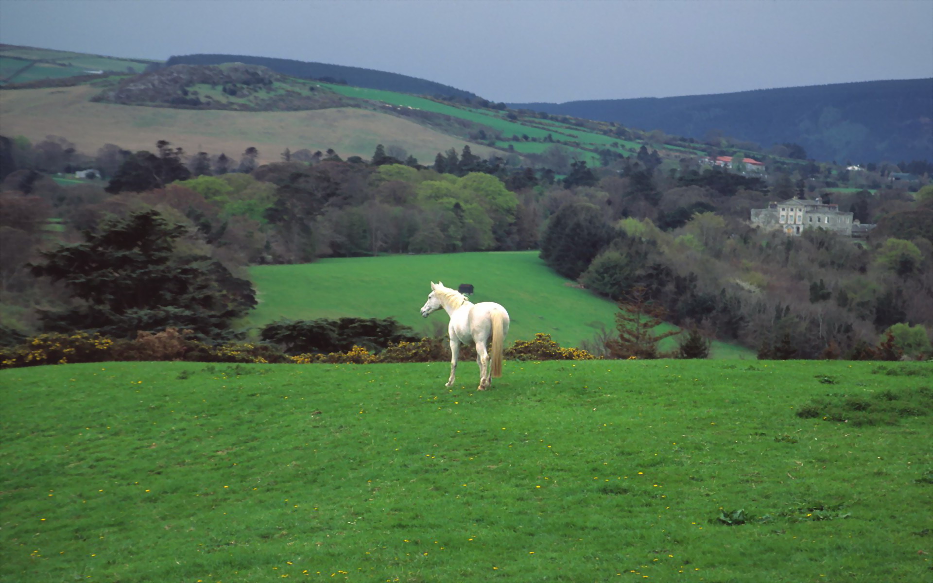 Ireland Background Countryside Wicklow Background S Image