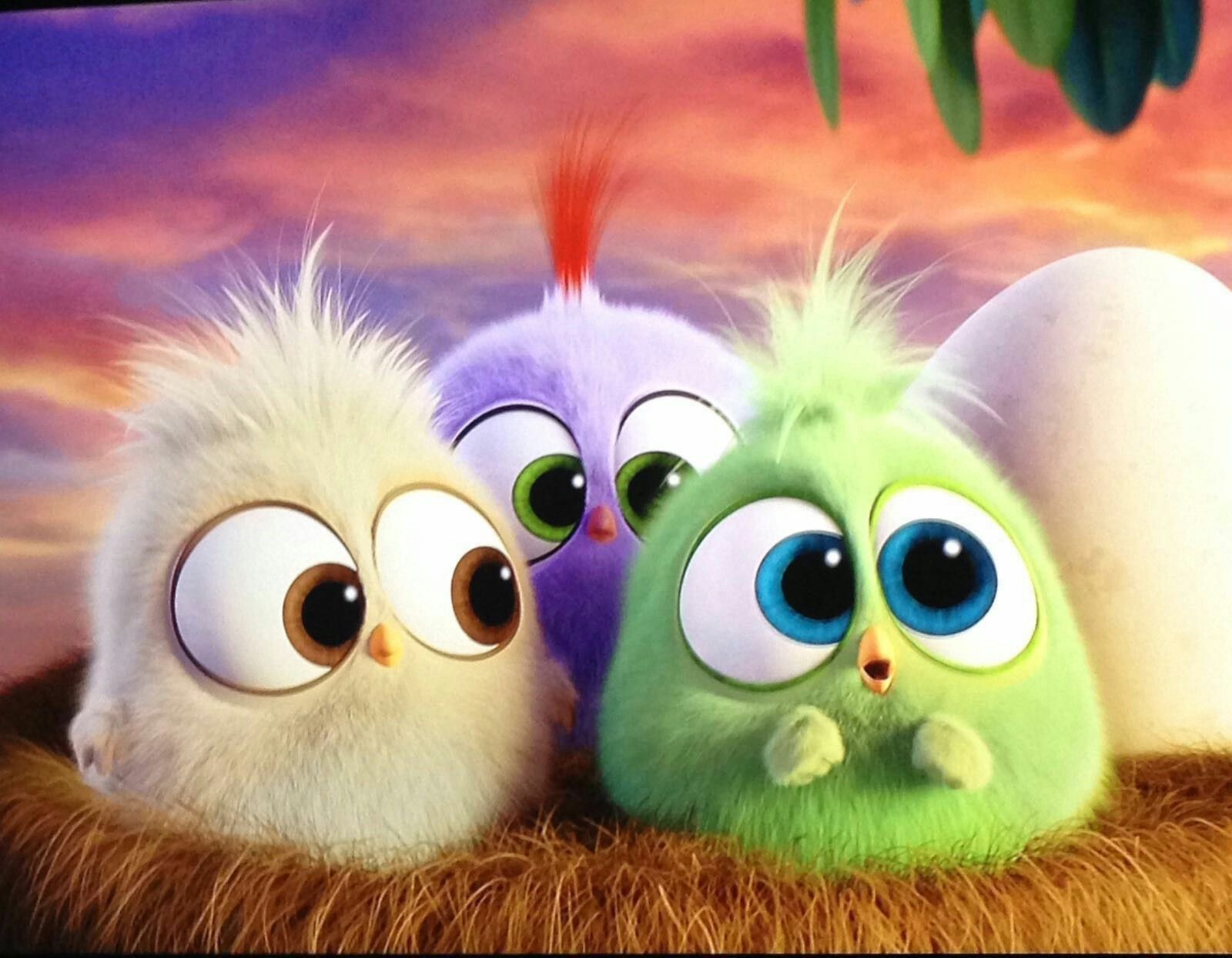 Cute Animals Cartoon Wallpaper