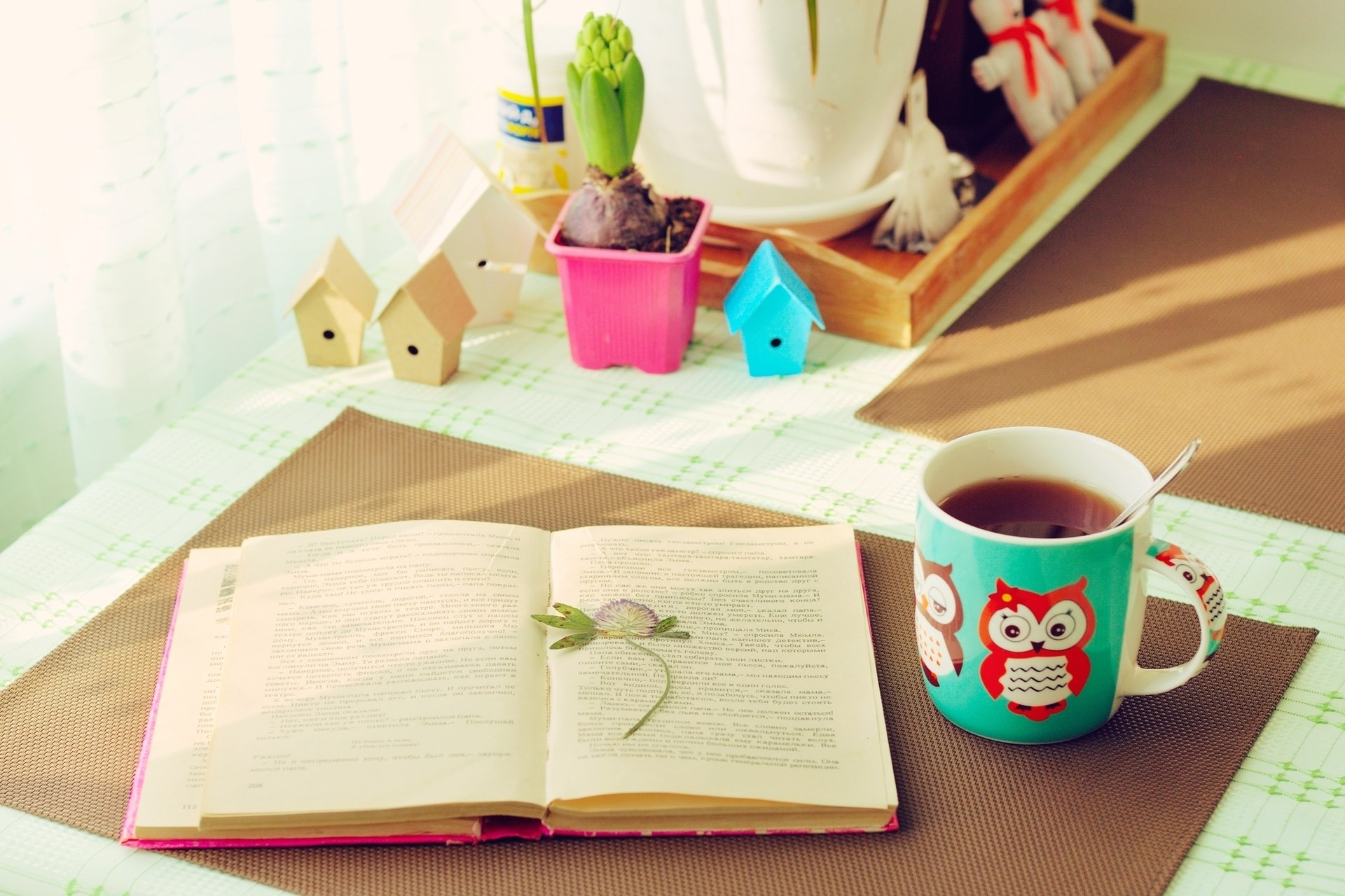 Mood Tea Cup Owl Cute Lovely Book Times House Wallpaper