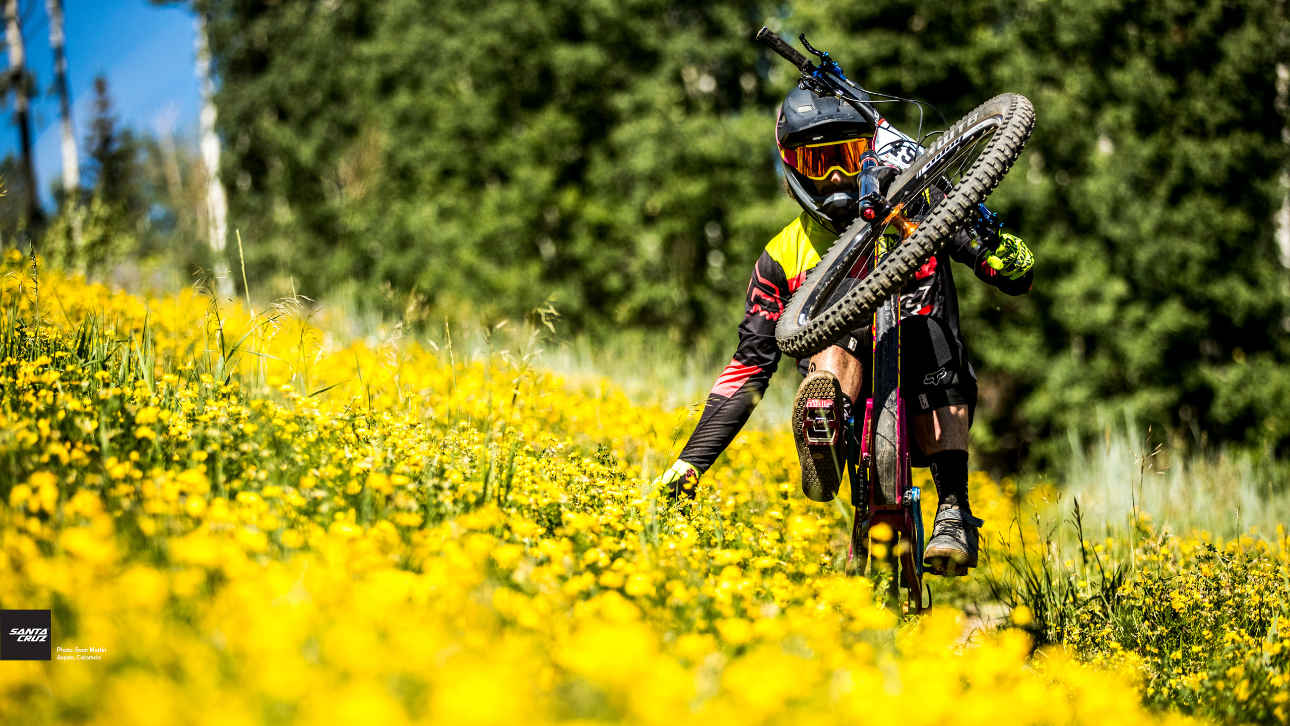 Mtb Wallpaper Smartphone