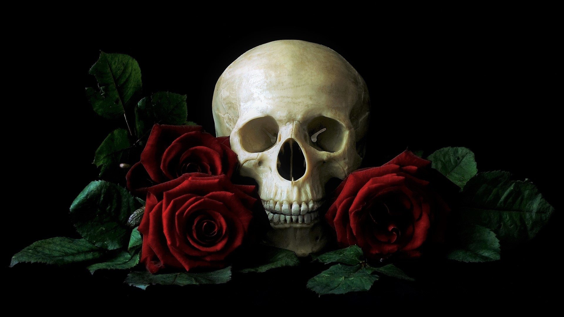 Skull And Roses HD Wallpaper Background Image
