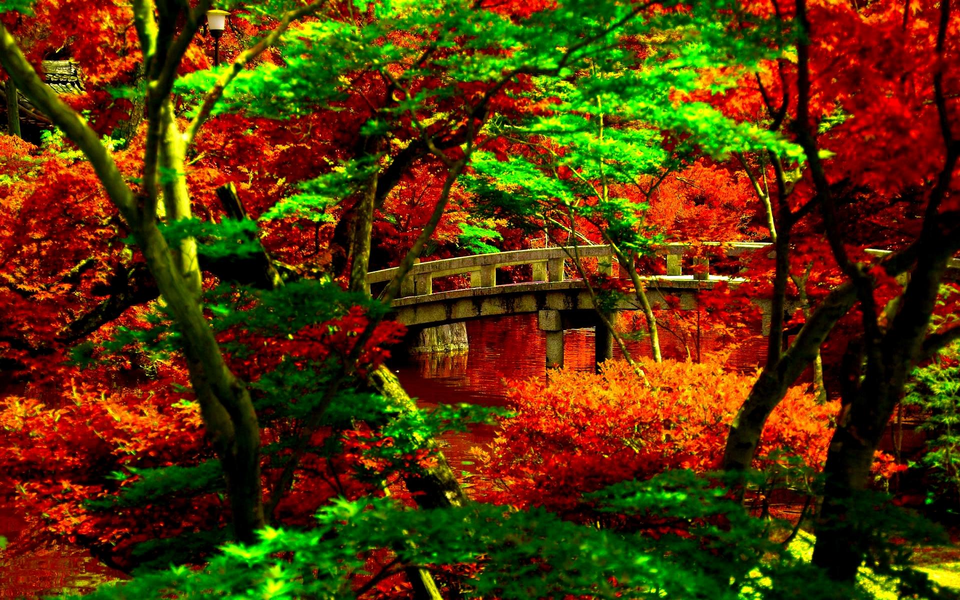 Wallpaper Nature HD Japanese Garden Desktop