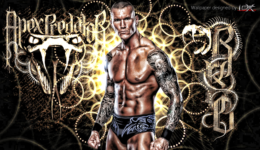 hd wallpapers wwe stars hd wallpapers wwe stars hd wallpapers