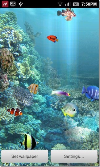 Anipet Aquarium Live Wallpaper Desktop